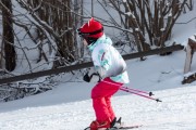 Vilciņa kauss, 4.posms – Ski-box balvas izcīņa