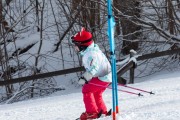 Vilciņa kauss, 4.posms – Ski-box balvas izcīņa