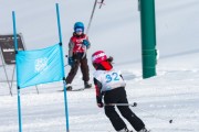 Vilciņa kauss, 4.posms – Ski-box balvas izcīņa