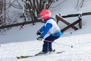 Vilciņa kauss, 4.posms – Ski-box balvas izcīņa