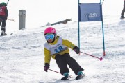 Vilciņa kauss, 4.posms – Ski-box balvas izcīņa