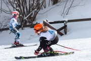 Vilciņa kauss, 4.posms – Ski-box balvas izcīņa