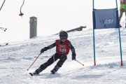 Vilciņa kauss, 4.posms – Ski-box balvas izcīņa