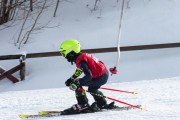 Vilciņa kauss, 4.posms – Ski-box balvas izcīņa