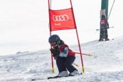 Vilciņa kauss, 4.posms – Ski-box balvas izcīņa