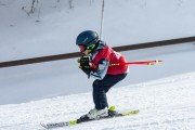 Vilciņa kauss, 4.posms – Ski-box balvas izcīņa