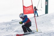 Vilciņa kauss, 4.posms – Ski-box balvas izcīņa