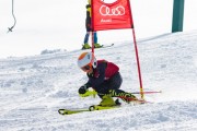 Vilciņa kauss, 4.posms – Ski-box balvas izcīņa