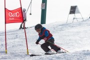 Vilciņa kauss, 4.posms – Ski-box balvas izcīņa