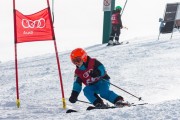 Vilciņa kauss, 4.posms – Ski-box balvas izcīņa