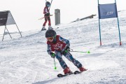 Vilciņa kauss, 4.posms – Ski-box balvas izcīņa