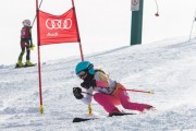 Vilciņa kauss, 4.posms – Ski-box balvas izcīņa