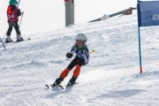 Vilciņa kauss, 4.posms – Ski-box balvas izcīņa