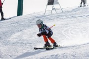 Vilciņa kauss, 4.posms – Ski-box balvas izcīņa