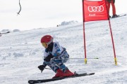 Vilciņa kauss, 4.posms – Ski-box balvas izcīņa