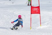 Vilciņa kauss, 4.posms – Ski-box balvas izcīņa