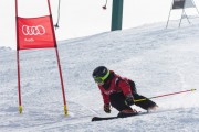 Vilciņa kauss, 4.posms – Ski-box balvas izcīņa