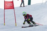 Vilciņa kauss, 4.posms – Ski-box balvas izcīņa