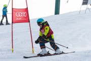 Vilciņa kauss, 4.posms – Ski-box balvas izcīņa