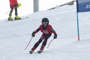 Vilciņa kauss, 4.posms – Ski-box balvas izcīņa