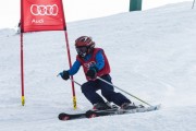 Vilciņa kauss, 4.posms – Ski-box balvas izcīņa