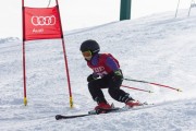 Vilciņa kauss, 4.posms – Ski-box balvas izcīņa