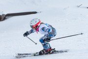 Vilciņa kauss, 4.posms – Ski-box balvas izcīņa