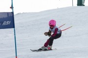 Vilciņa kauss, 4.posms – Ski-box balvas izcīņa