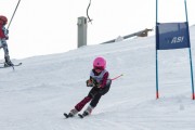 Vilciņa kauss, 4.posms – Ski-box balvas izcīņa