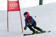 Vilciņa kauss, 4.posms – Ski-box balvas izcīņa