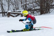 Vilciņa kauss, 4.posms – Ski-box balvas izcīņa