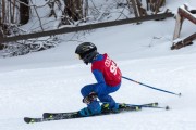 Vilciņa kauss, 4.posms – Ski-box balvas izcīņa