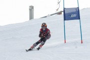 Vilciņa kauss, 4.posms – Ski-box balvas izcīņa