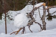 FIS Baltijas kauss 2023 6.posms, sagatavošanās, Foto: E.Lukšo