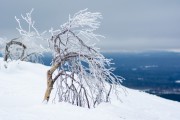 FIS Baltijas kauss 2023 6.posms, sagatavošanās, Foto: E.Lukšo