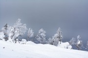 FIS Baltijas kauss 2023 6.posms, sagatavošanās, Foto: E.Lukšo