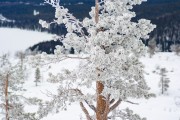 FIS Baltijas kauss 2023 6.posms, sagatavošanās, Foto: E.Lukšo