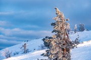 FIS Baltijas kauss 2023 6.posms, sagatavošanās, Foto: E.Lukšo
