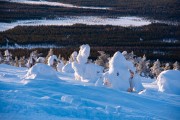FIS Baltijas kauss 2023 6.posms, sagatavošanās, Foto: E.Lukšo