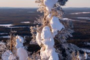FIS Baltijas kauss 2023 6.posms, sagatavošanās, Foto: E.Lukšo