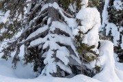 FIS Baltijas kauss 2023 6.posms, sagatavošanās, Foto: E.Lukšo