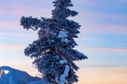 FIS Baltijas kauss 2023 6.posms, sagatavošanās, Foto: E.Lukšo