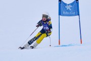 FIS Baltijas kauss 2023 6.posms, jauniešu un meistaru GS, Foto: E.Lukšo