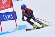 FIS Baltijas kauss 2023 6.posms, jauniešu un meistaru GS, Foto: E.Lukšo