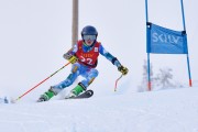 FIS Baltijas kauss 2023 6.posms, jauniešu un meistaru GS, Foto: E.Lukšo