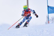 FIS Baltijas kauss 2023 6.posms, jauniešu un meistaru GS, Foto: E.Lukšo