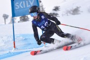 FIS Baltijas kauss 2023 6.posms, jauniešu un meistaru GS, Foto: E.Lukšo