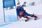 FIS Baltijas kauss 2023 6.posms, jauniešu un meistaru GS, Foto: E.Lukšo