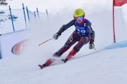 FIS Baltijas kauss 2023 6.posms, jauniešu un meistaru GS, Foto: E.Lukšo