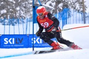 FIS Baltijas kauss 2023 6.posms, jauniešu un meistaru GS, Foto: E.Lukšo